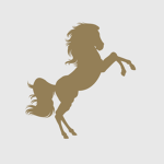 Still Pond Stables