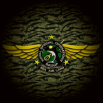 IS | Intelligence Service