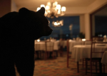 Bloxbear Family Dining