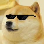 The Doge Marauders
