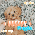 Preppy Preppies