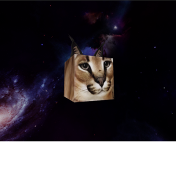 hang out with floppa in the void