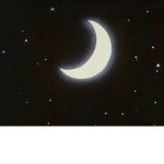 Star Tacyl