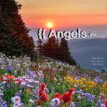 {{ Angels ~