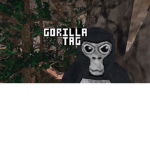 Gorilla Tag Vr!!