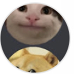 TheCatAndDog