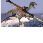 Dragon me bro