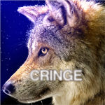 The king Wolf wolf wolf wolf wolf wolf wolf wolf