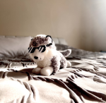 Wolfie’s ice pack