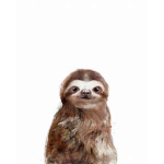 slothGroup!