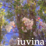 IUVINA