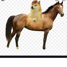 Doge west train track battle rp