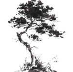 Sproutˑ