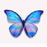 Pretty little Butterfly squad