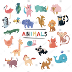 ANIMALS UNITEDz