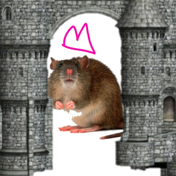 UGLY RATS BEAUTIFUL CASTLE
