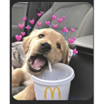 𝕌ℕ𝕀ℂ𝕆ℝℕ𝕊 𝔾ℝ𝕆𝕌ℙ ( O u < )✌