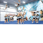 Cheer sqaud great white sharks
