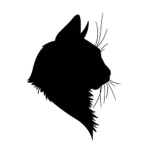 The Black Cat (Friend community)