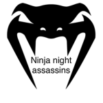 Ninja night assassins