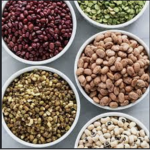 BEAN BEAN CLUB