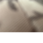 Só primos UwU