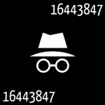 女 Incognito