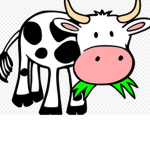 The Mooing group