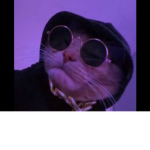 Kitt1es