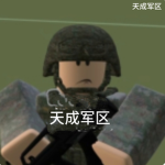 天成公安