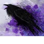 Raven紫