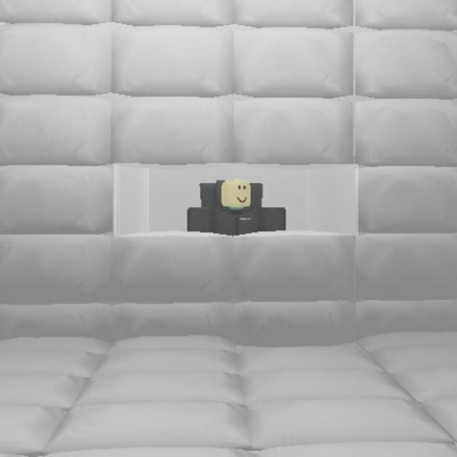 Padded Solitary Confinement Simulator