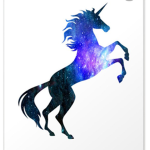 #1 Unicorn nation