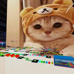 cute cat obby
