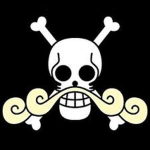 The Roger Pirates (DSBA)