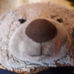 Polar bear vs brown bear War