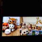 The cute cat family