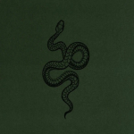 Harry Potter Page