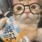 Blonde Skin Cat