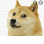 Hank’s meme bisness