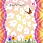 *+Kylies Shop*+