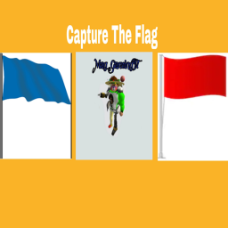 Capture The Cool Flag