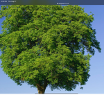 Plz save the trees.