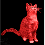red and cat pals