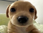 Silly_littleGroup