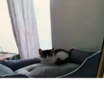 Baby Zoe