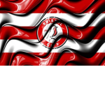 Bristol City (MPS Team)