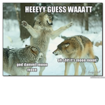SAVAGE WOLF ARMY