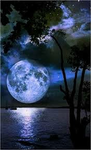 moonizx