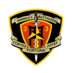 3rd Battalion, 3rd Marinеs